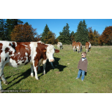photo miniature